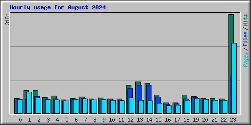 Hourly usage for August 2024