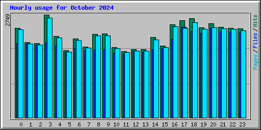 Hourly usage for October 2024
