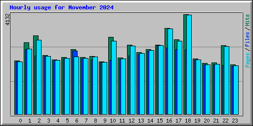 Hourly usage for November 2024