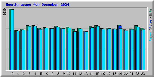 Hourly usage for December 2024